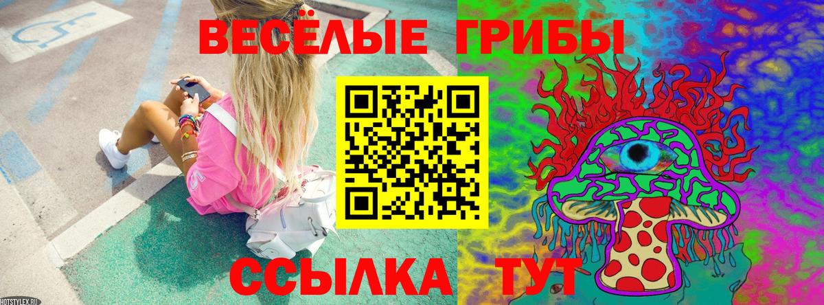 как найти наркотики  Галлюциногенные грибы MAGIC MUSHROOMS  Долгопрудный  Вход с VPN  Галлюциногенные грибы GOLDEN TEACHER 